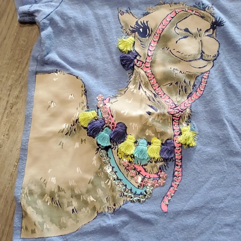 Cherokee/Arizona Jeans Co. Camel T-Shirt with Matching Shorts Size 4